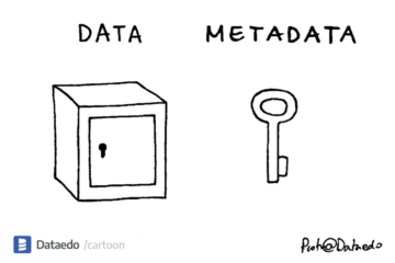 Data metadata