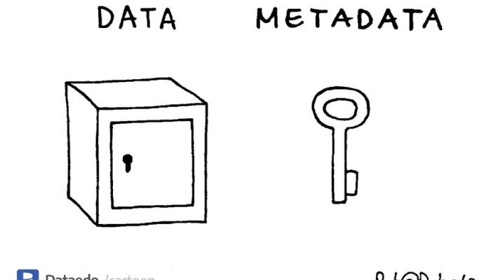Data metadata